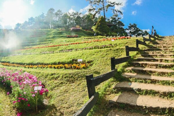 Doctor Heals Wellness Retreat_Chiang Mai 3