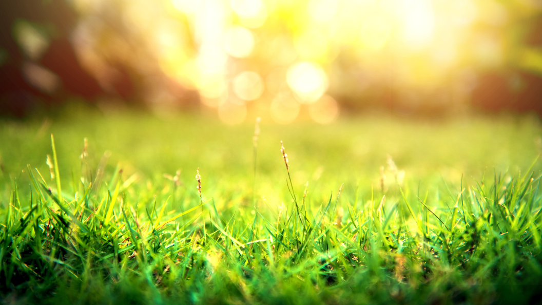 Doctor Heals Wellness Screening